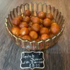 Gulab Jamun with Ice Cream